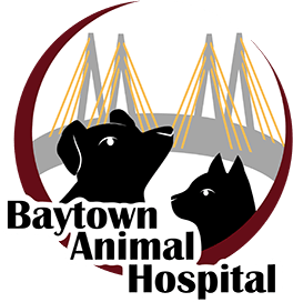 Baytown Animal Hospital Logo